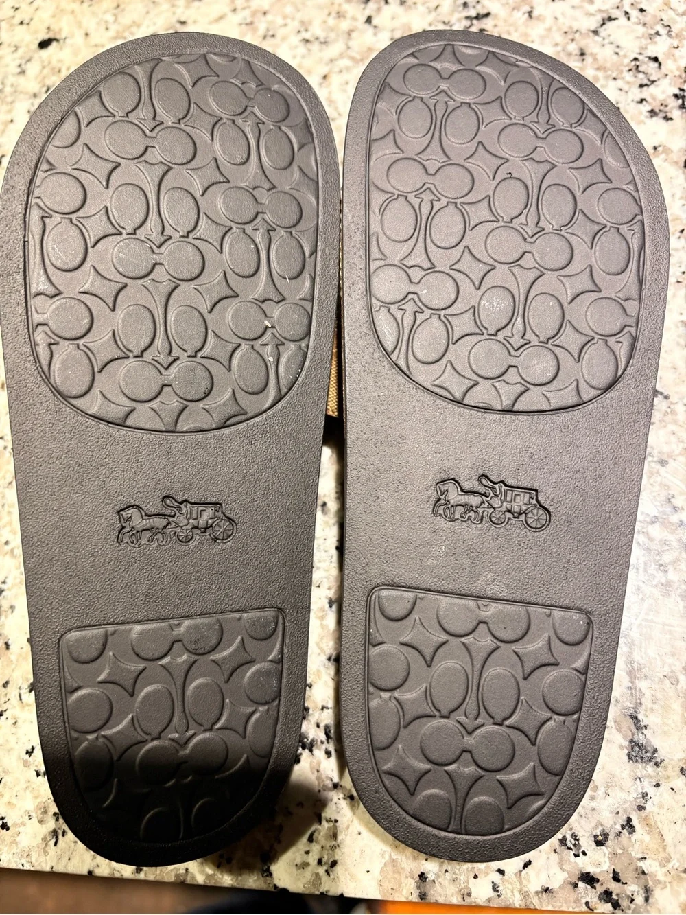 Bape x coach sandals
